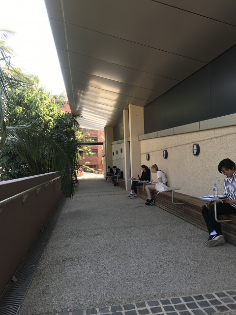View of study area