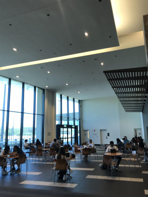 View of study area