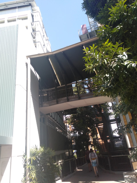 Walkway from Sir William MacGregor Building(64)