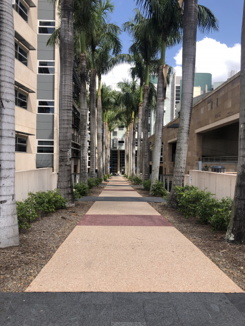 Way to main entrance