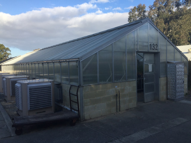 West entrance