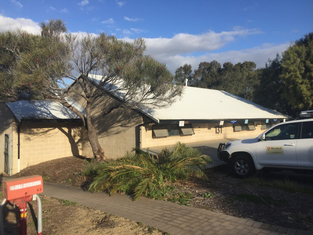 West side and service carpark